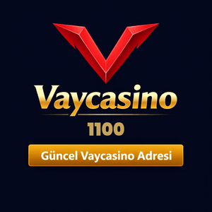 vaycasino1100