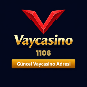 vaycasino1106