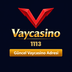 vaycasino1113