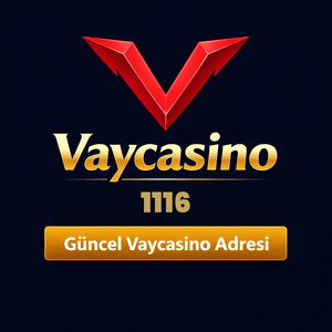 vaycasino1116